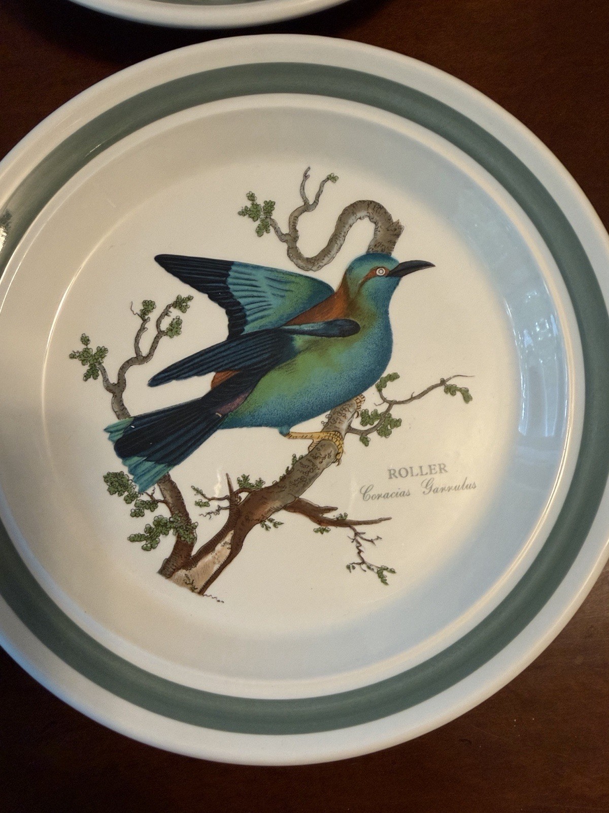Portmeirion Birds of Britain Ceramic Salad Plates Green Rim 8 in Set of 6