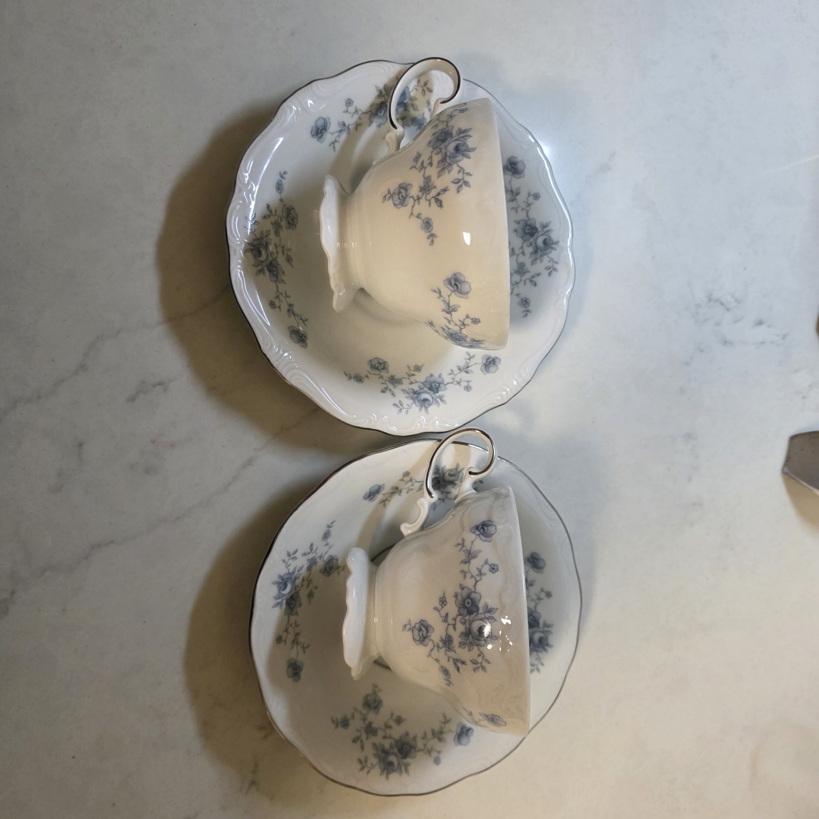 johann haviland bavaria germany blue garland set