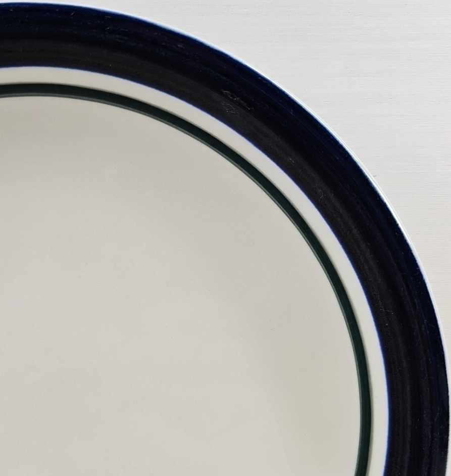 4 Tienshan Kitchen Basics Cobalt Green Dinner Plate Set Table Dining Dishes Lot