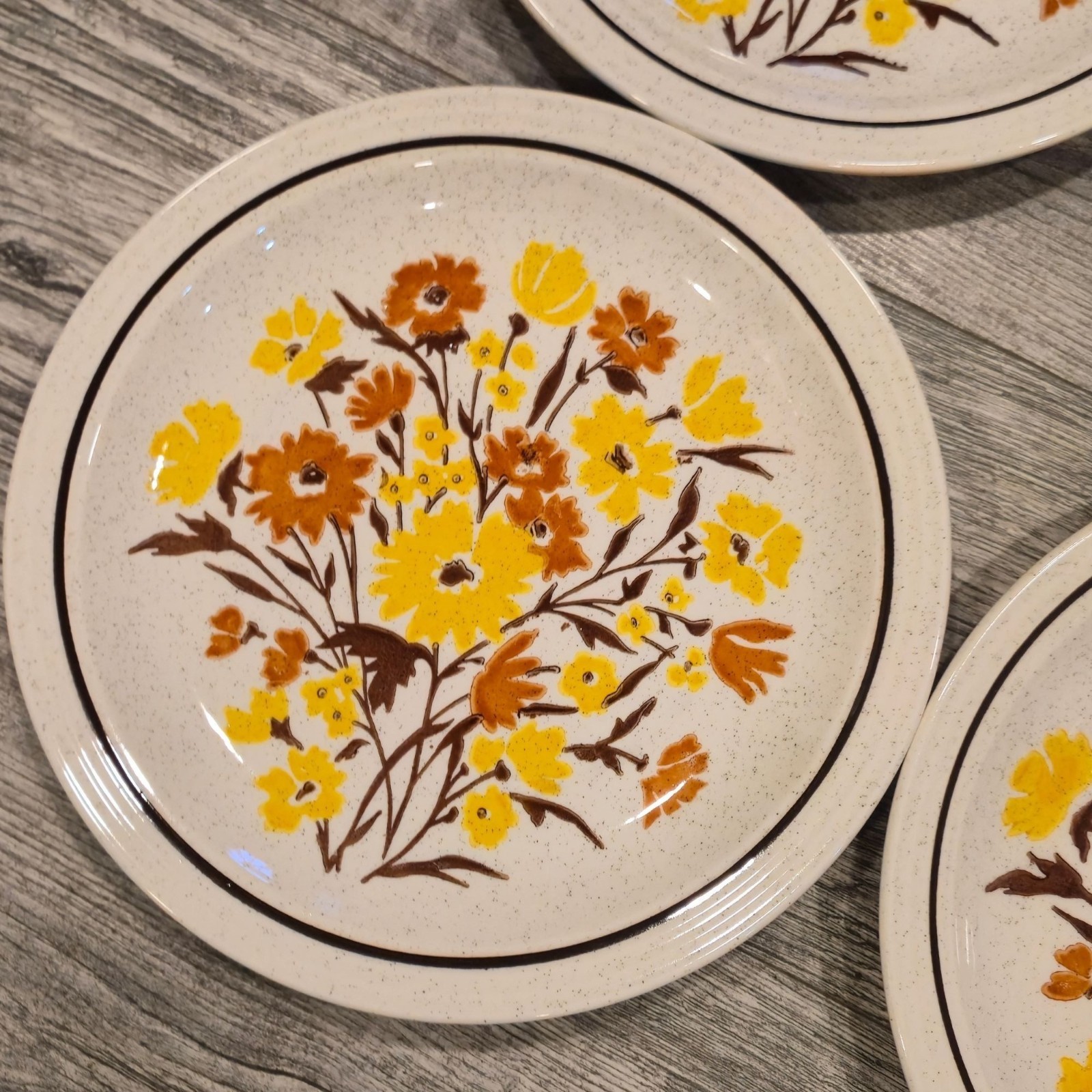 Vintage floral Stoneware dinner plates 1970s Botanical speckled Garden dining x4