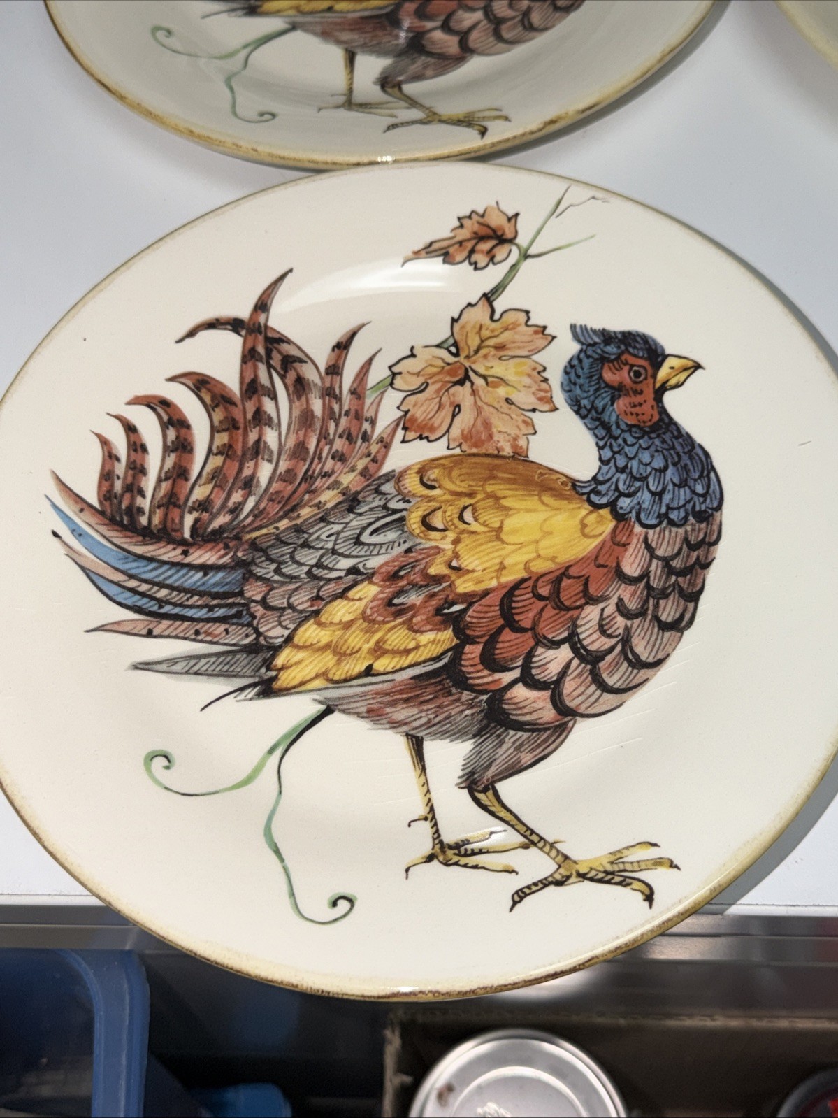 SET OF 6–Sur La Table PHEASANT 8.5″ Salad Plates ITALY FREE SHIPPING