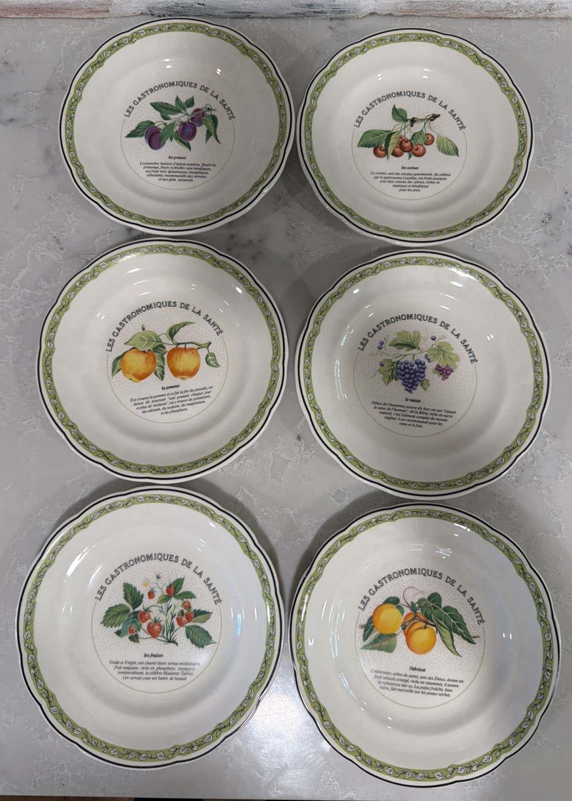 6 VTG Gien China France Les Gastronomiques de la Sante Salad Dessert Plate Set