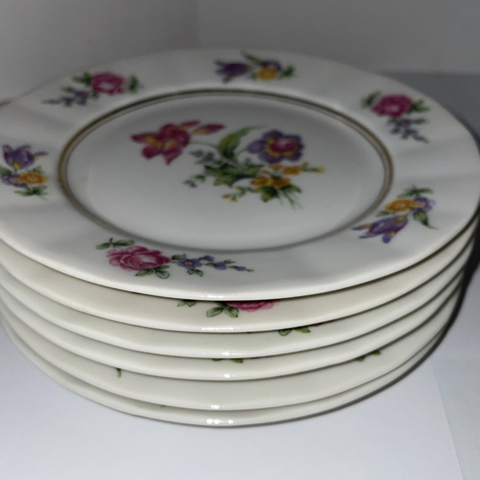Raynaud Limoges Dresden Floral Style 6 bread dessert Plates 6 1/4” Gimbel bros.