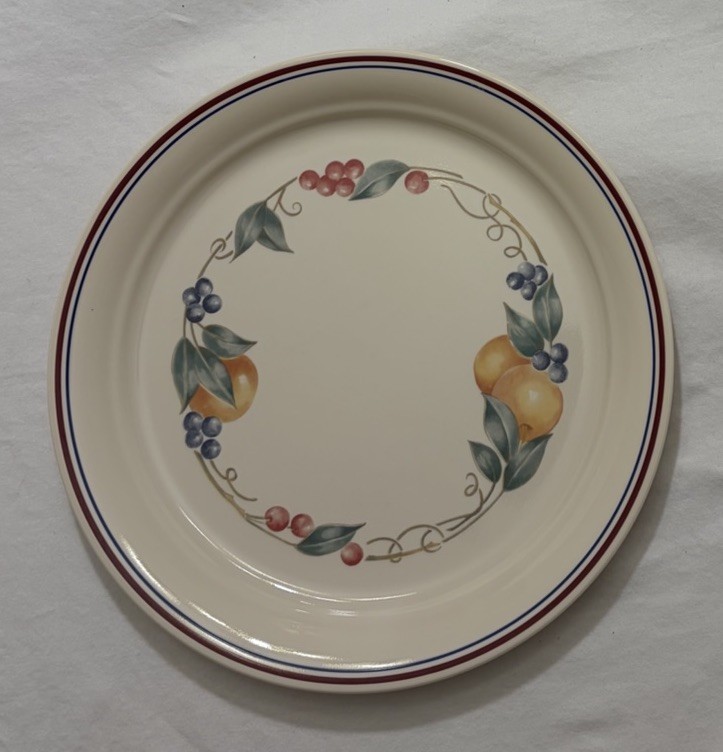 Corelle Abundance Dinner Plate 10.25” Round VINTAGE EC