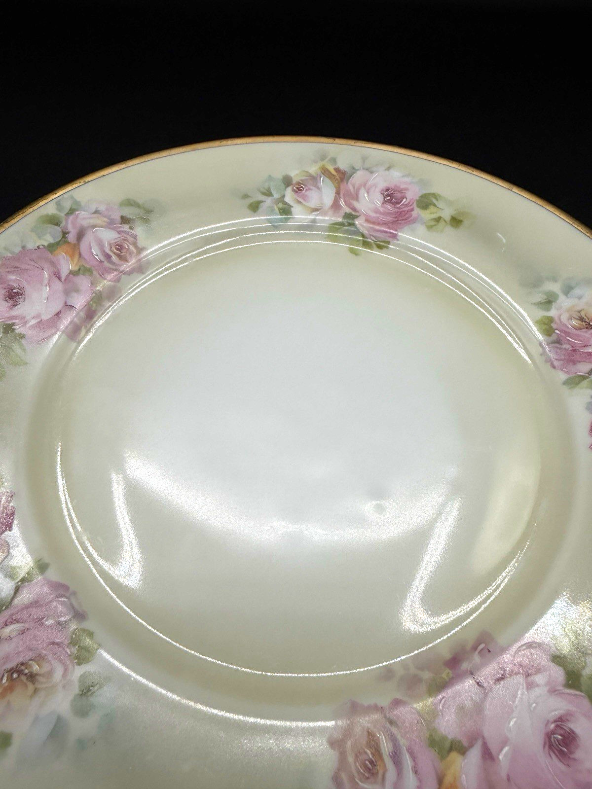 Antique Hutschenreuther Selb Bavaria HAND PAINTED PLATE Tatler Lawson Trenton