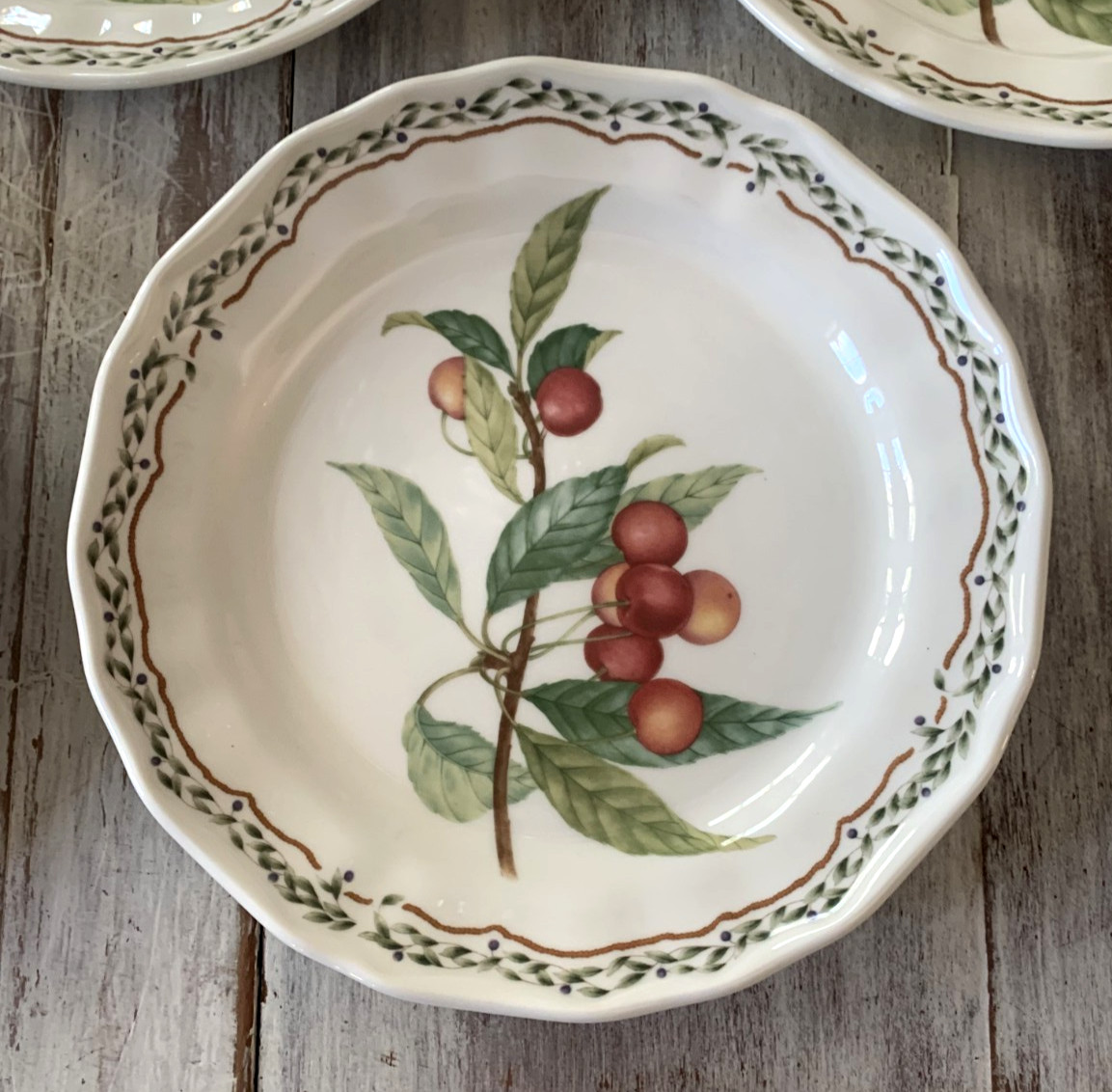Noritake Casual Gourmet HARVEST Salad Dessert Plates Fruit 8.25″ Laurel Set 5