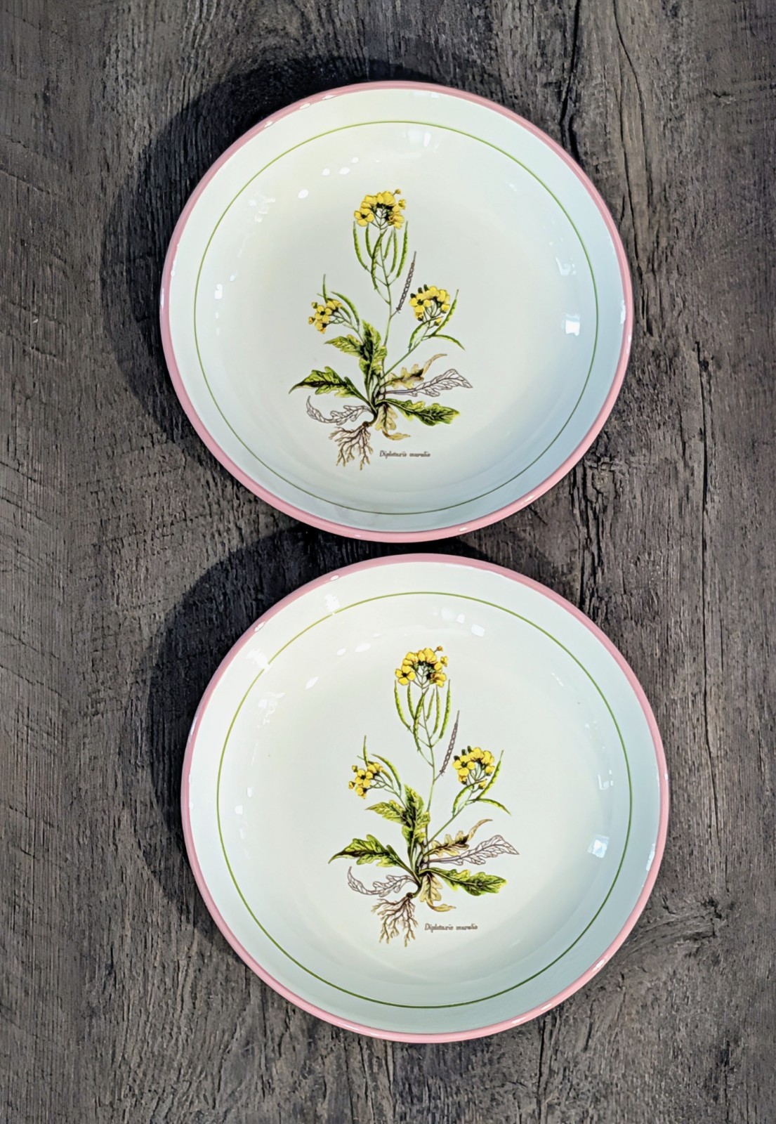 Primula Vintage Salad Plates Made in Italy Lot of 6 Botanical Floral 8″ Pink Rim
