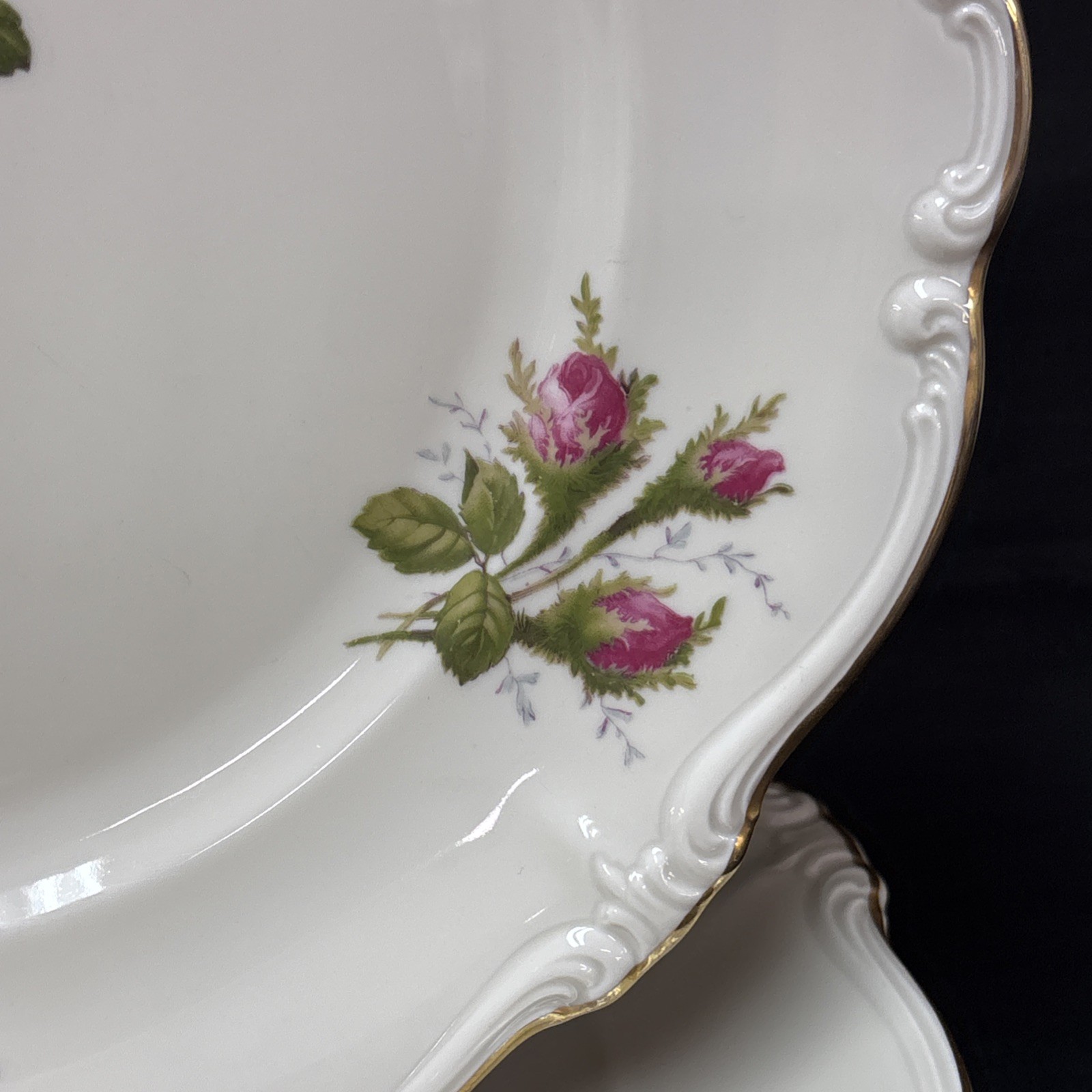 Rosenthal Continental MOSS ROSE POMPADOUR (Ivory) Dinner Plate 10 1/8 Inches
