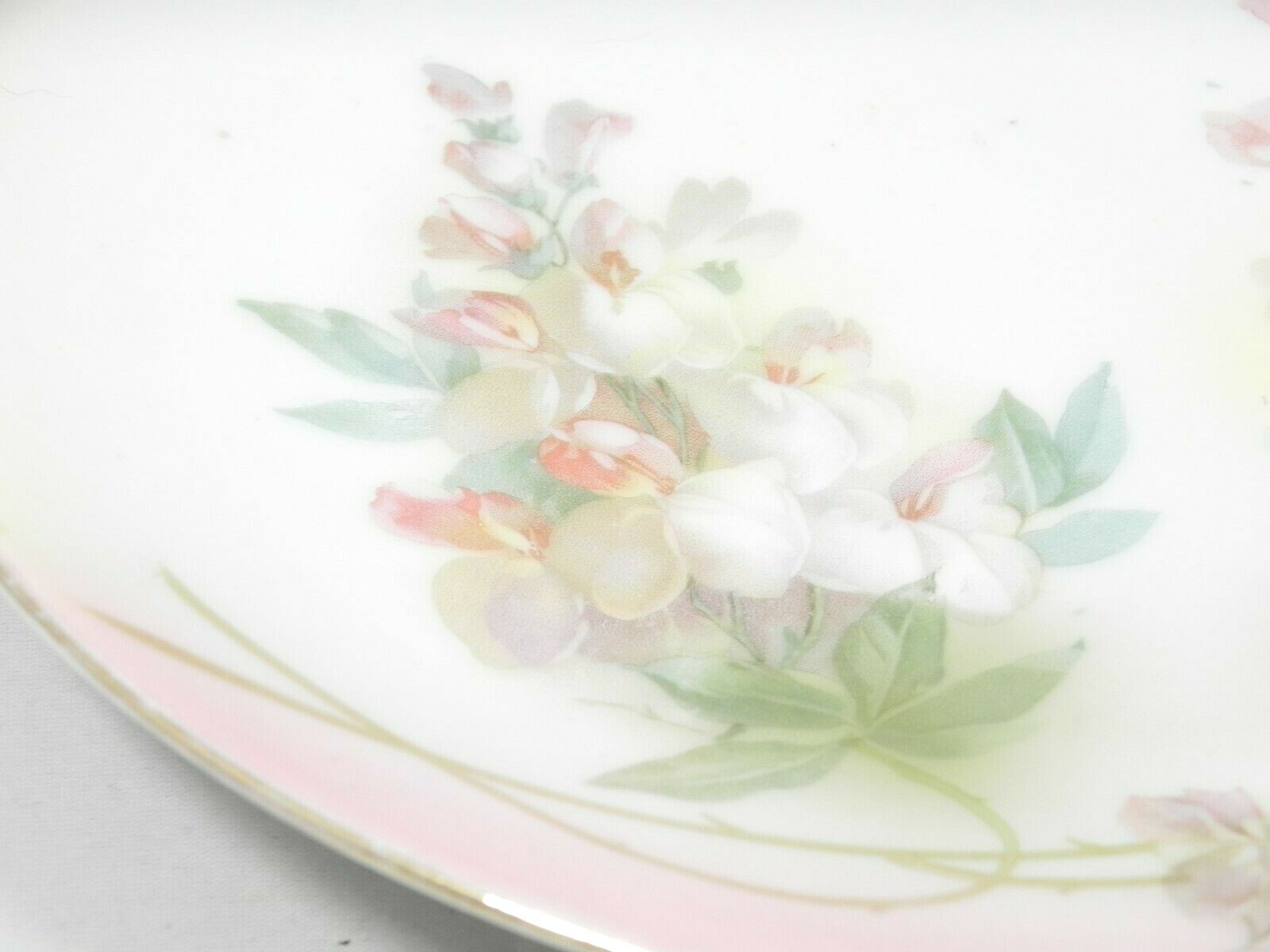 RS GERMANY – PORCELAIN – PLATE – FLORAL – BONE CHINA