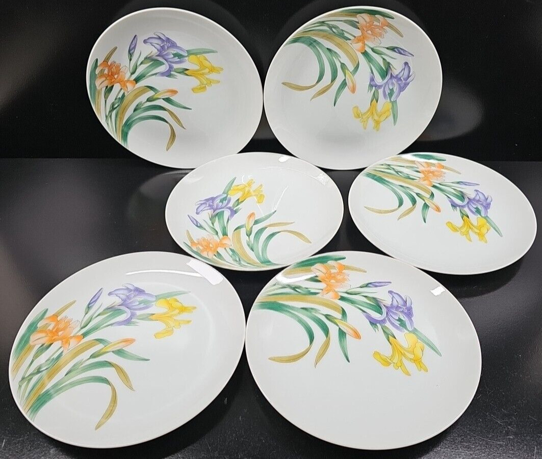 6 Shafford Jardin Des Iris Salad Plate Set Vintage Floral Dishes Japan Retro Lot