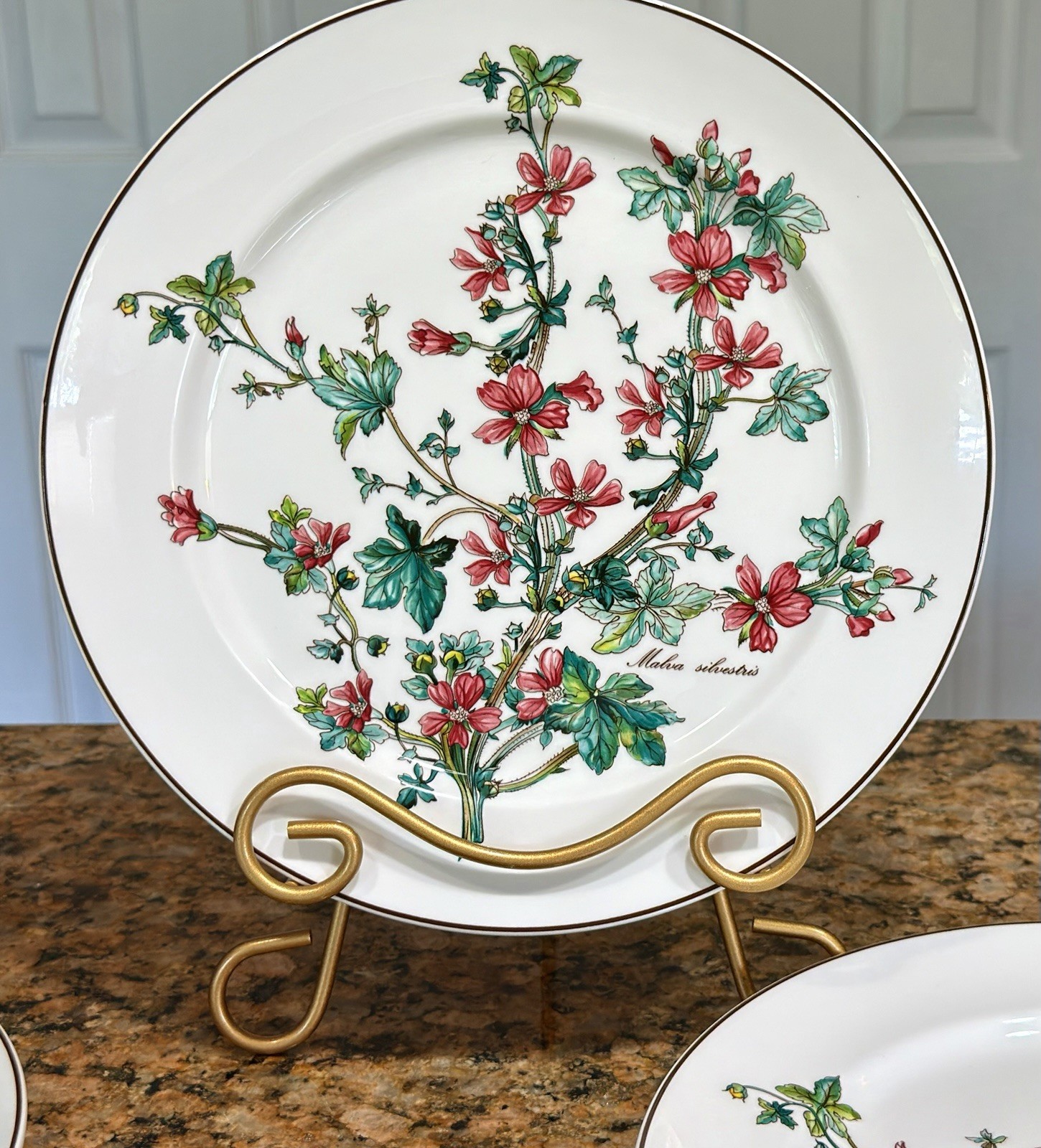 VTG Villeroy Boch Botanica Malva Silvestris 6 Dinner Plates 10-3/8 Luxembourg