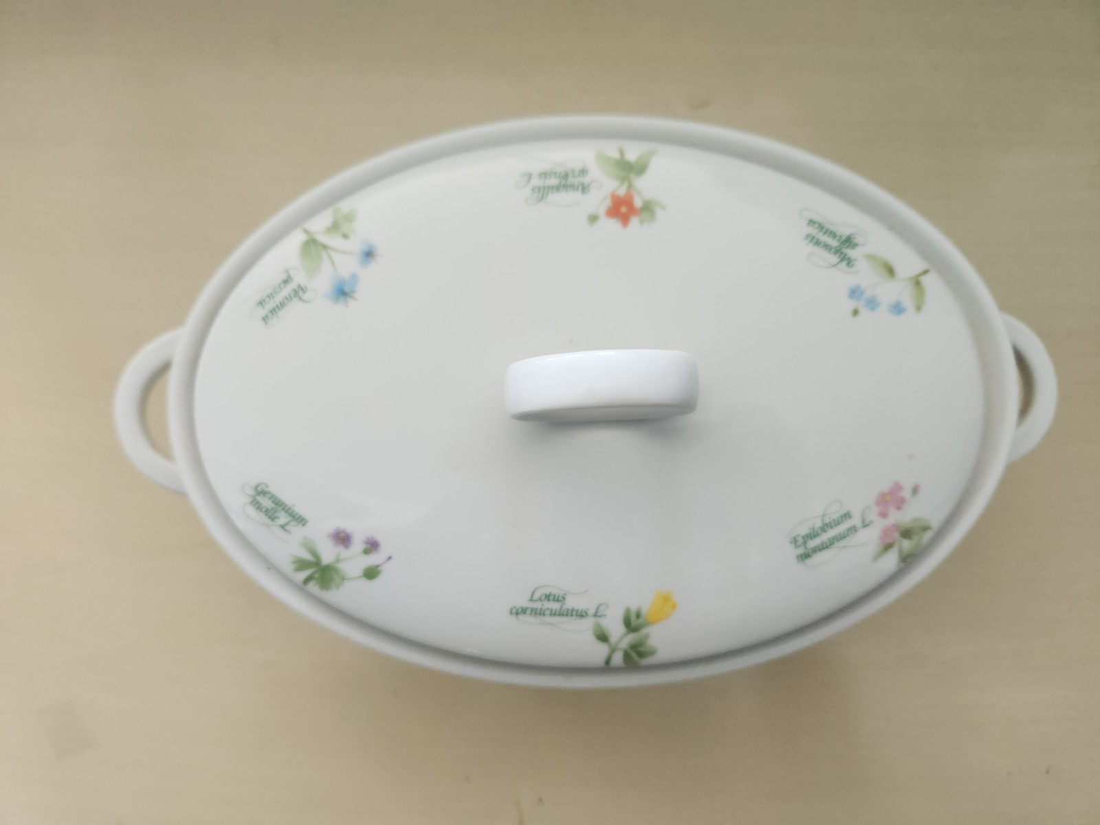 Anchor Hocking Ovenware Wildflower Oval Casserole Dish Lid #419 Japan