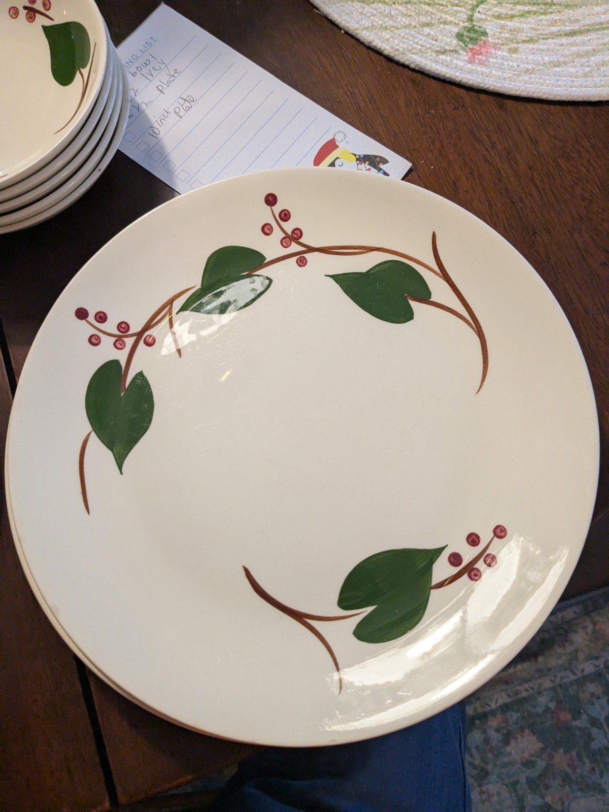 Blue Ridge Stanhome Ivy 17 Piece Set of Dishes.
