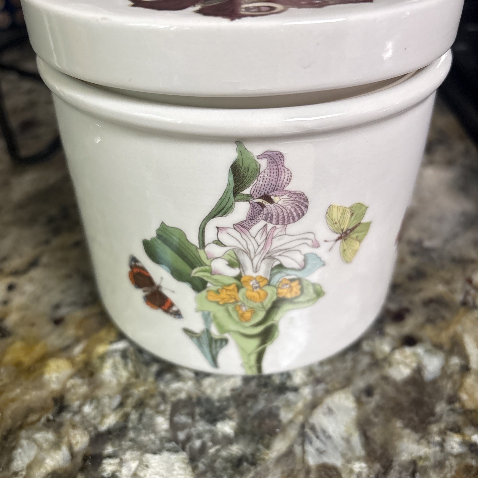 PORTMEIRION BOTANIC GARDEN CITRON (Citrus) 5″ JAR VERY RARE/Great CONDITION