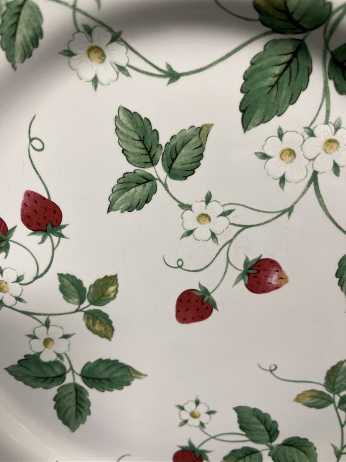 International Tableworks Stoneware STRAWBERRY FAIR Dinner Plate(s) 11″