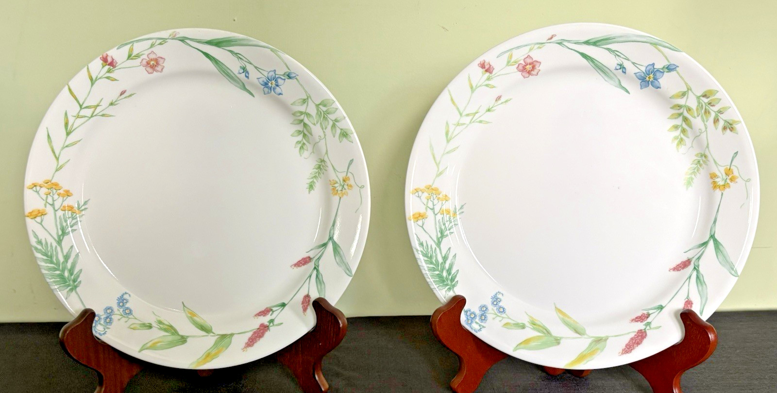 22-Pc Corelle My Garden-10 Dinner/6 Salad Plates, 3 Cups, Creamer & Sugar Dish
