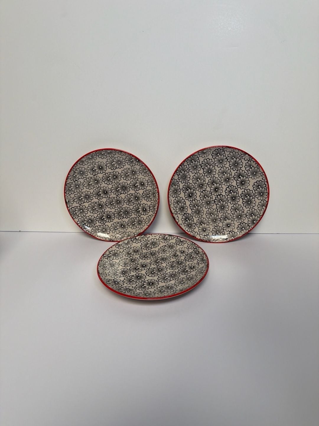 Yokohama Studio Hand Painted Daisy Floral Pattern Plates with Red Rim – Set of 3