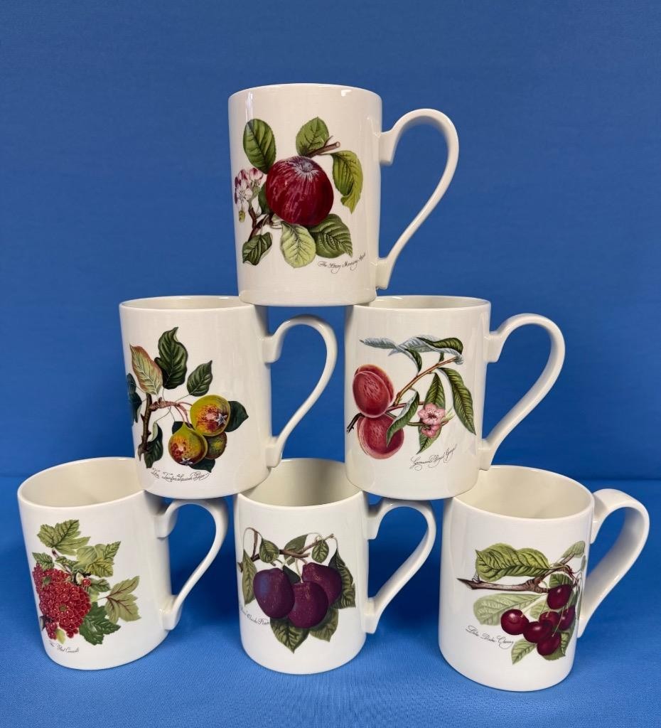 Lot of 6 Portmeirion Pomona Goddess of Fruit Coffee Mugs Cups – All Different