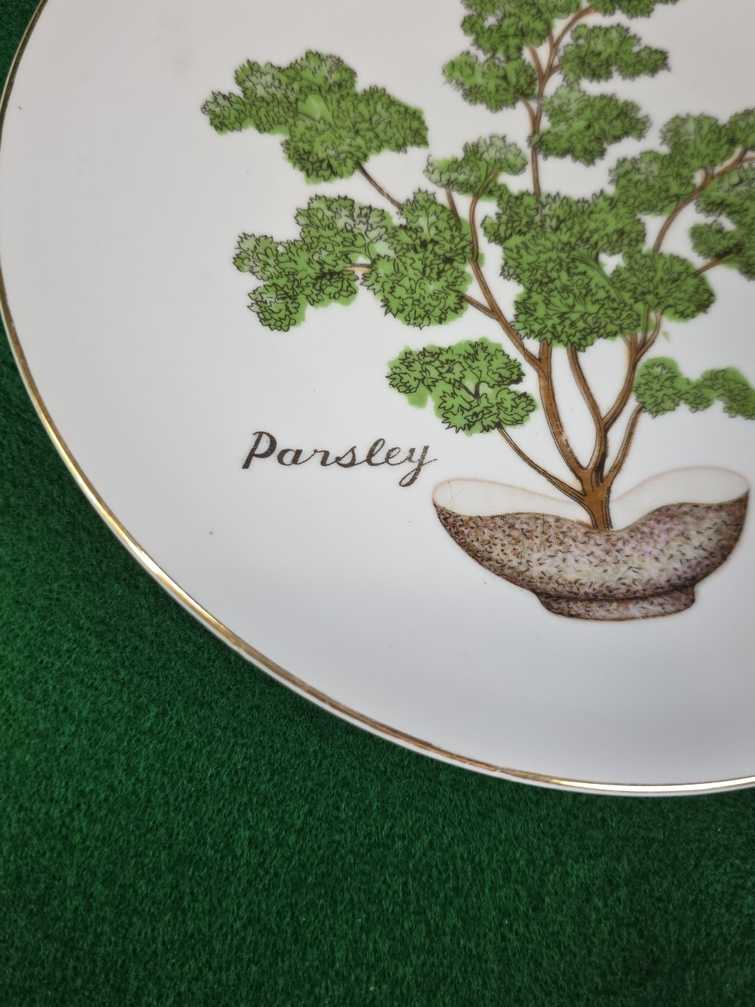 Vtg Herb Garden Wall Hanging Plates Set 4 Japan Parsley Mustard Sage Chives Deco