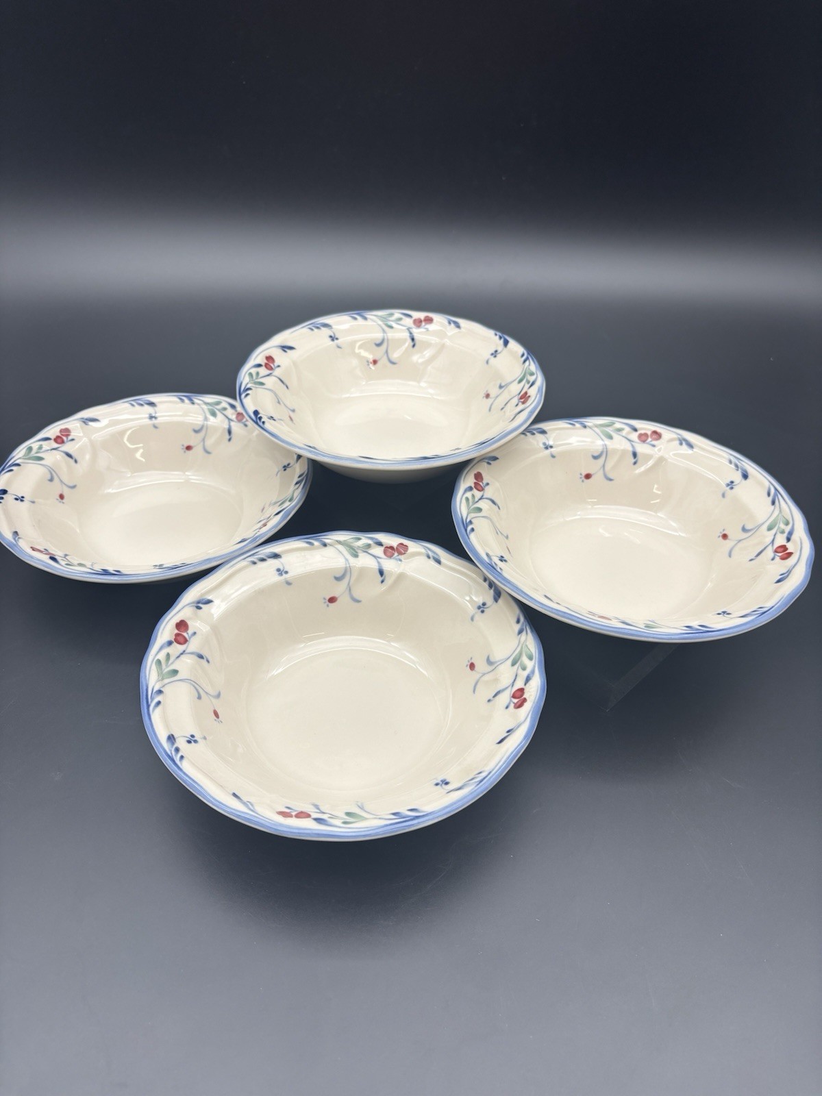 4 Epoch Berry Grove Rimmed Soup Bowls VTG Red Berries Blue Scalloped Discontinue