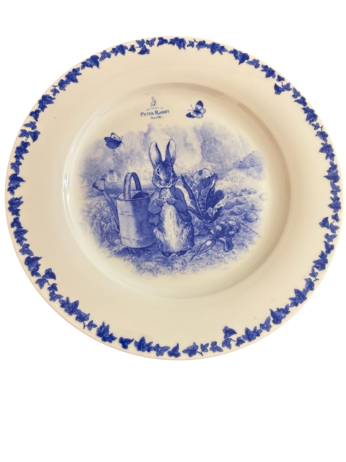 ZRike Beatrix Potter Peter Rabbit Dinner Plate Blue White 10.5