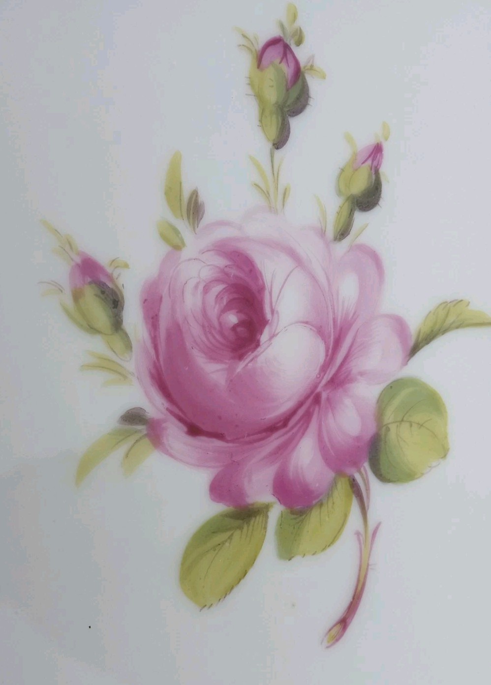 12 Antique Helena Wolfsohn DRESDEN ROSE Porcelain Dinner Plate OVINGTON BROS NY