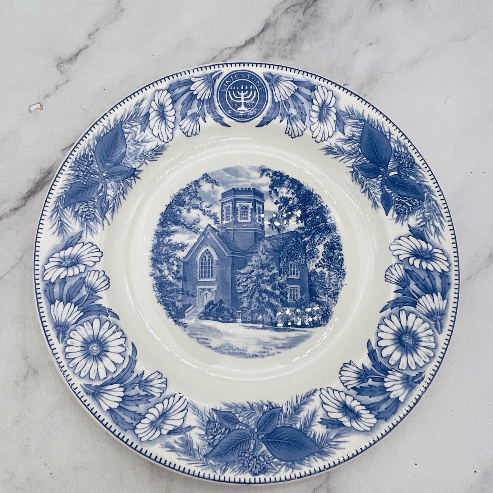 Set of 13 Vtg Atq Blue & White Plates Wall Collage Display Decor Mostly England