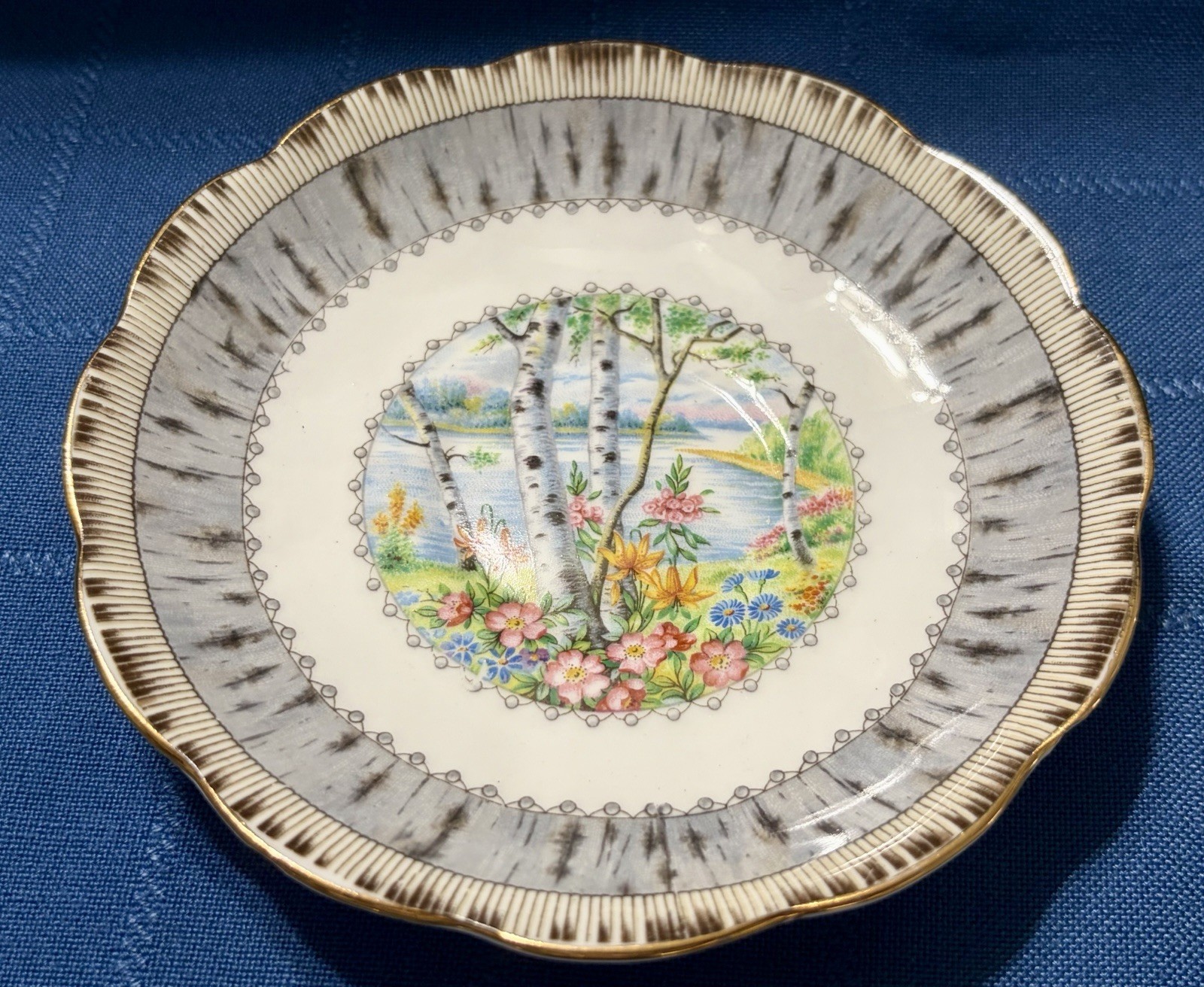 Royal Albert Silver Birch Cake Set for 6 Handled Plate C&S Cups & Saucers Plates