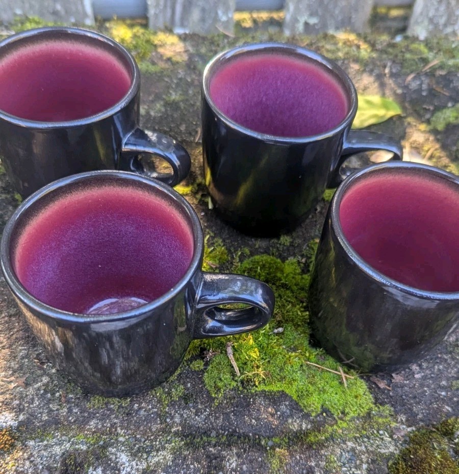 Heath Ceramics Stacking Coffee Mugs Cups Set of 4 Black Mugs Heath