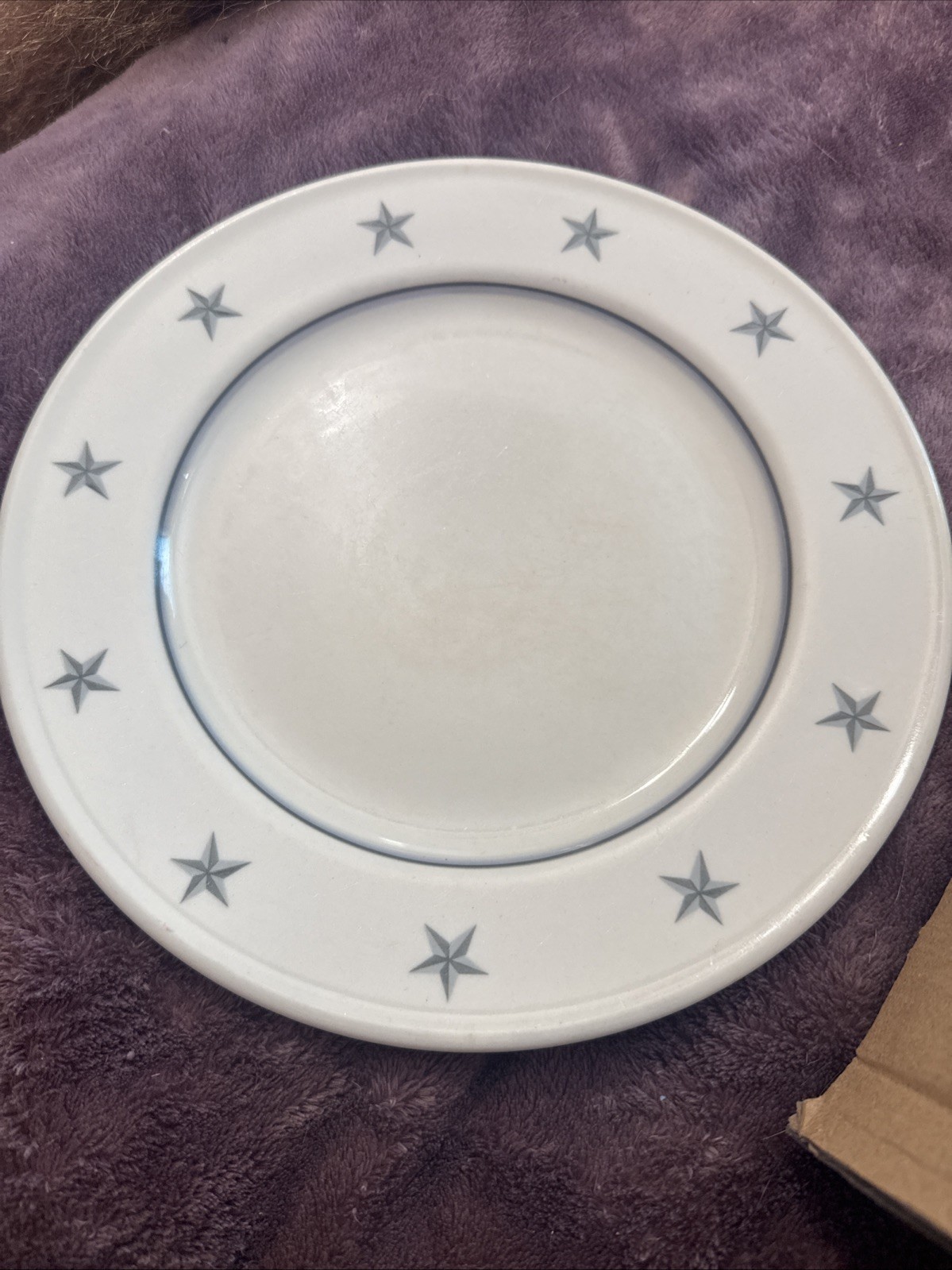 Mayer China United States Gray Line Plate 10”- Defect
