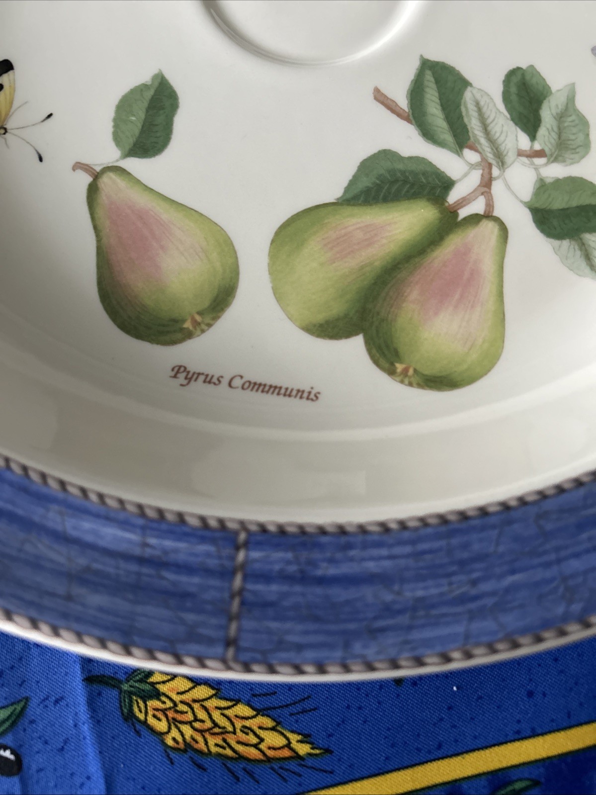 Vtg Wedgwood Sarah’s Garden Serving Tray Featuring A Blue Textured Rim & Fruit.