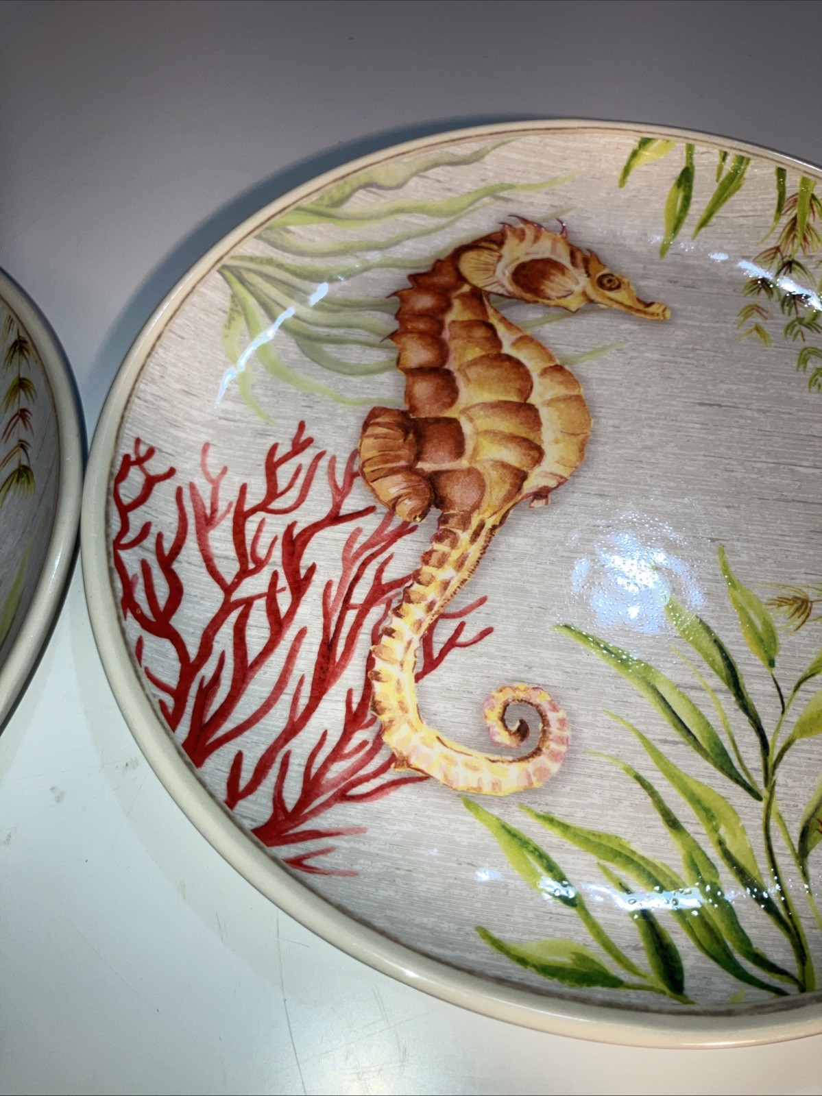 Better Homes & Gardens Lot of 2 Melamine Sea Life 8.5″ Plates Seahorse & Fish