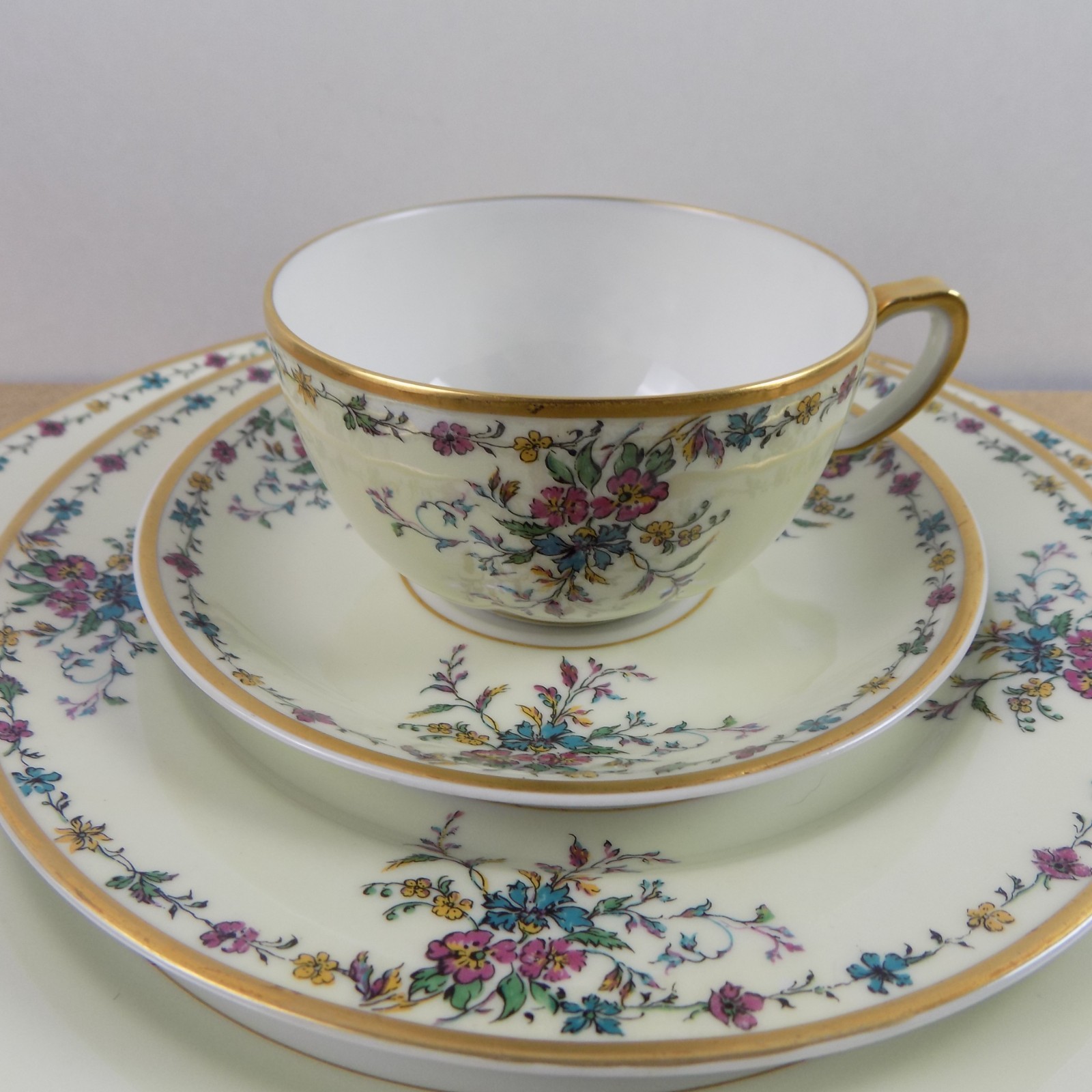Haviland Limoges H207 4pc Place Setting Dinner Salad Plate Cup & Saucer VGC