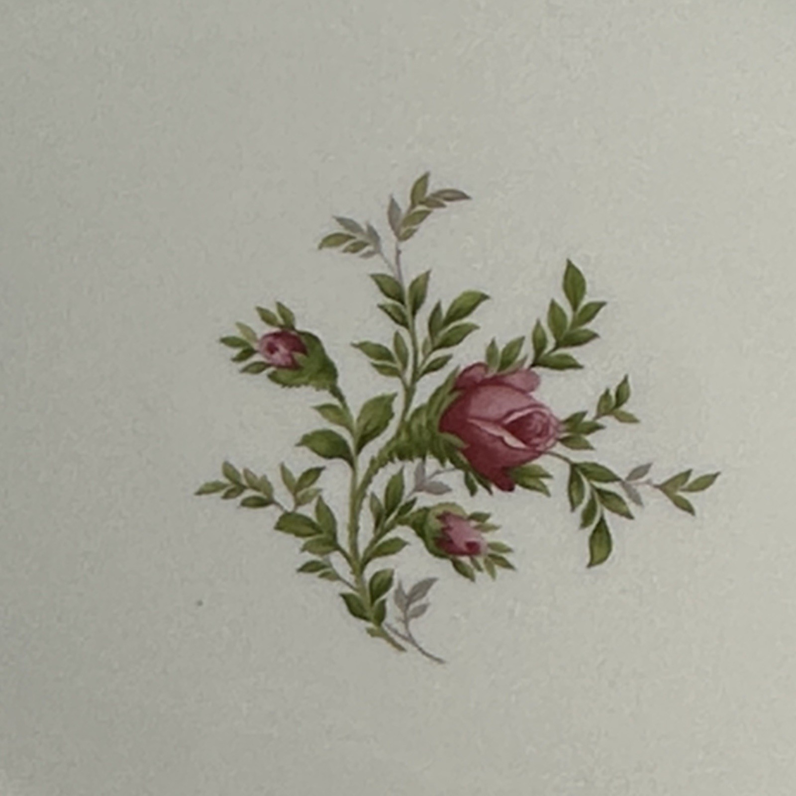 Johann Haviland Moss Rose Large Serving Platter 15”L Gold Trim Bavaria 1970’s