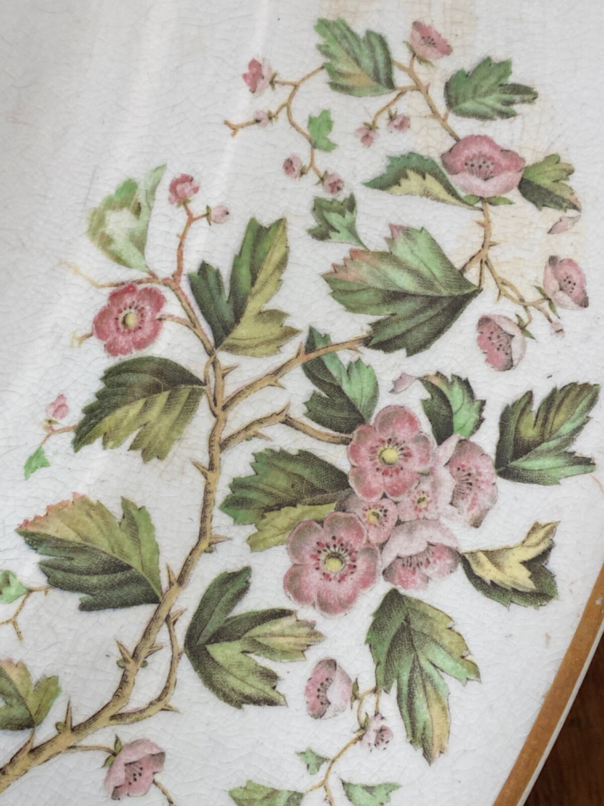 1880’s Aesthetic Movement Very Large Platter White with Florals, Insects Designs