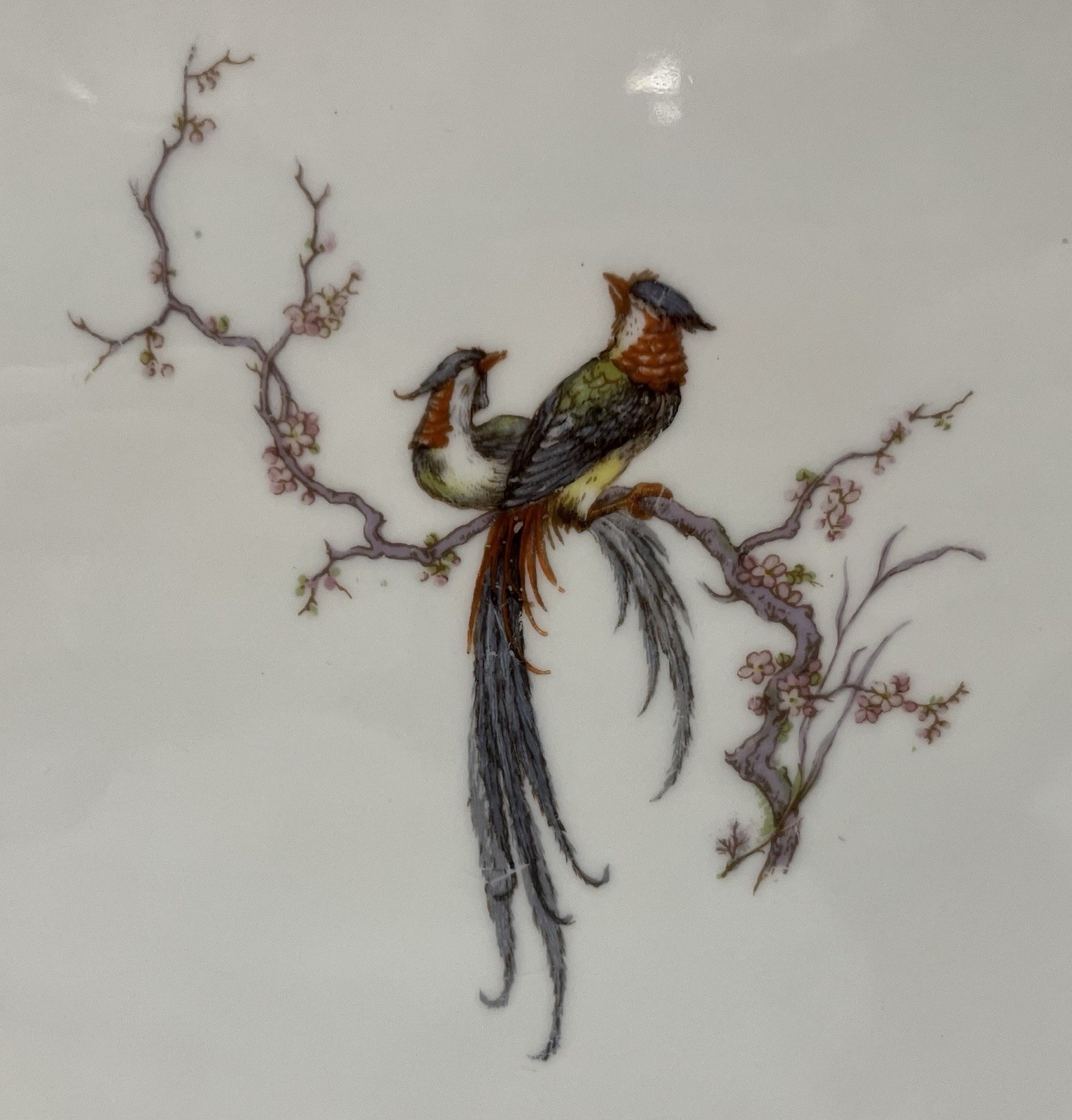 Vintage Theodore Haviland Limoges Eden Platter Oval 15.5×12 Art Deco 1920s Birds