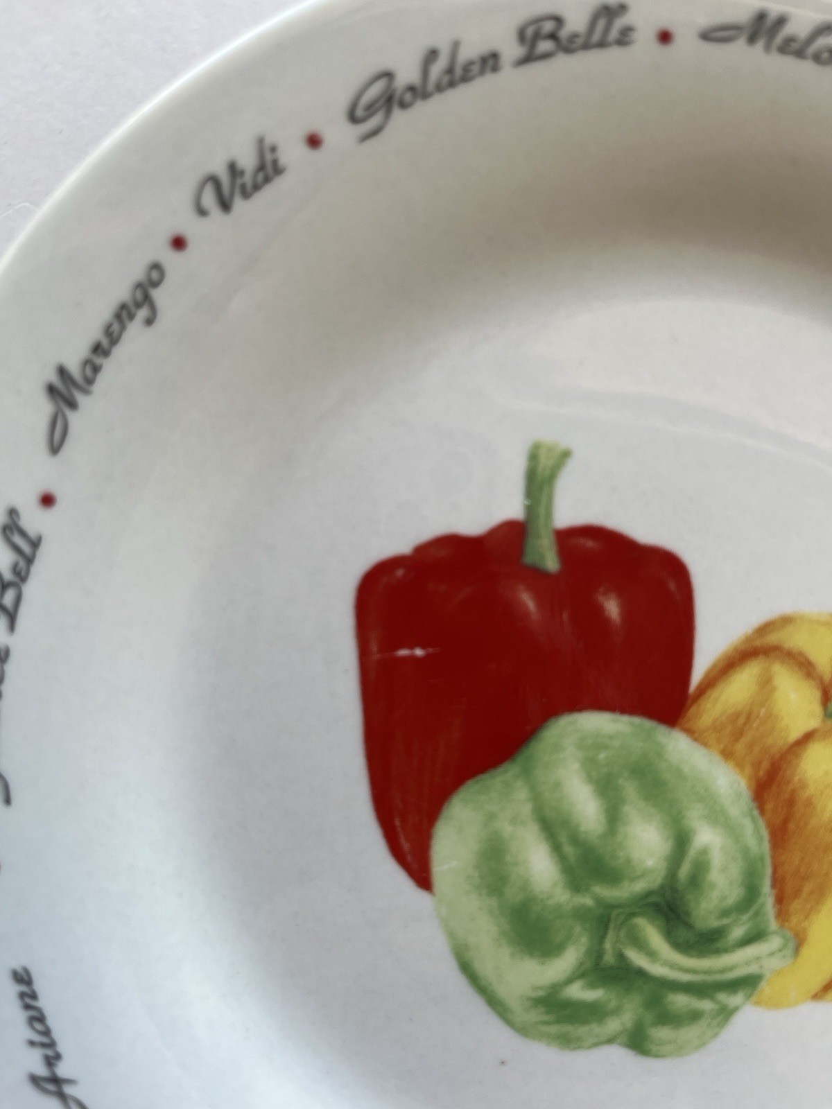 Set Of 6 Rare Oneida Kitchen Bread & Butter Plates Bell Peppers Valencia Vidi