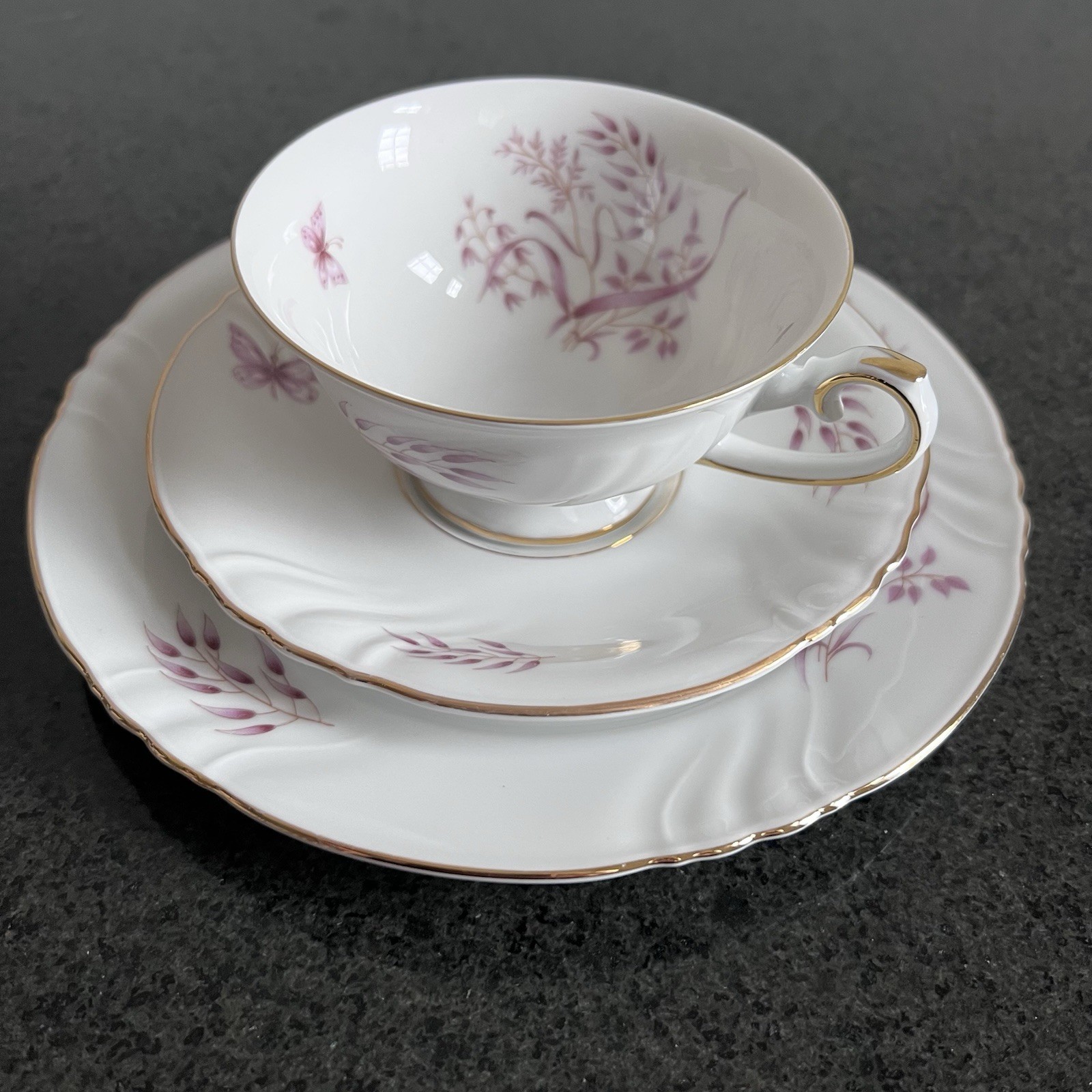 Thomas R Germany Porcelain Tea Cup, Saucer, Dessert Plate Trio Set of 5