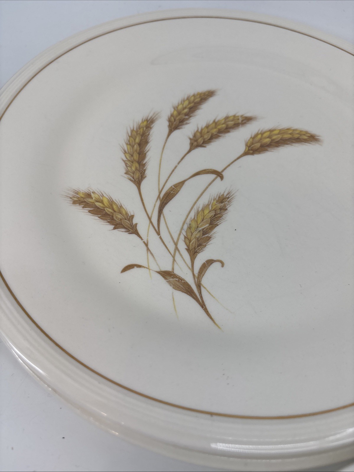 Edwin Knowles China GOLDEN WHEAT set of 6 Dinner Plates 9 7/8″ Vintage EUC