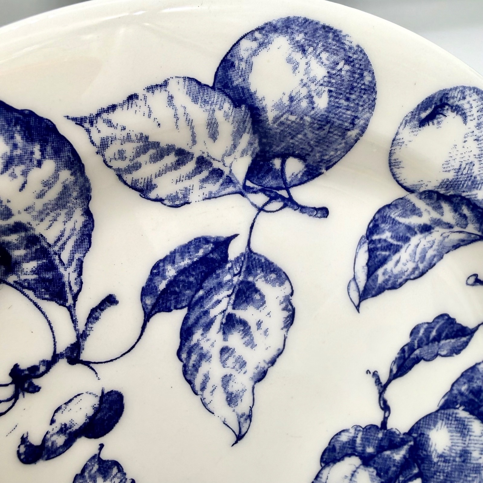 Ceramica Quadrifoglio Salad Plates 7.75in Ceramic Fruit Blue White Set 4 Italy