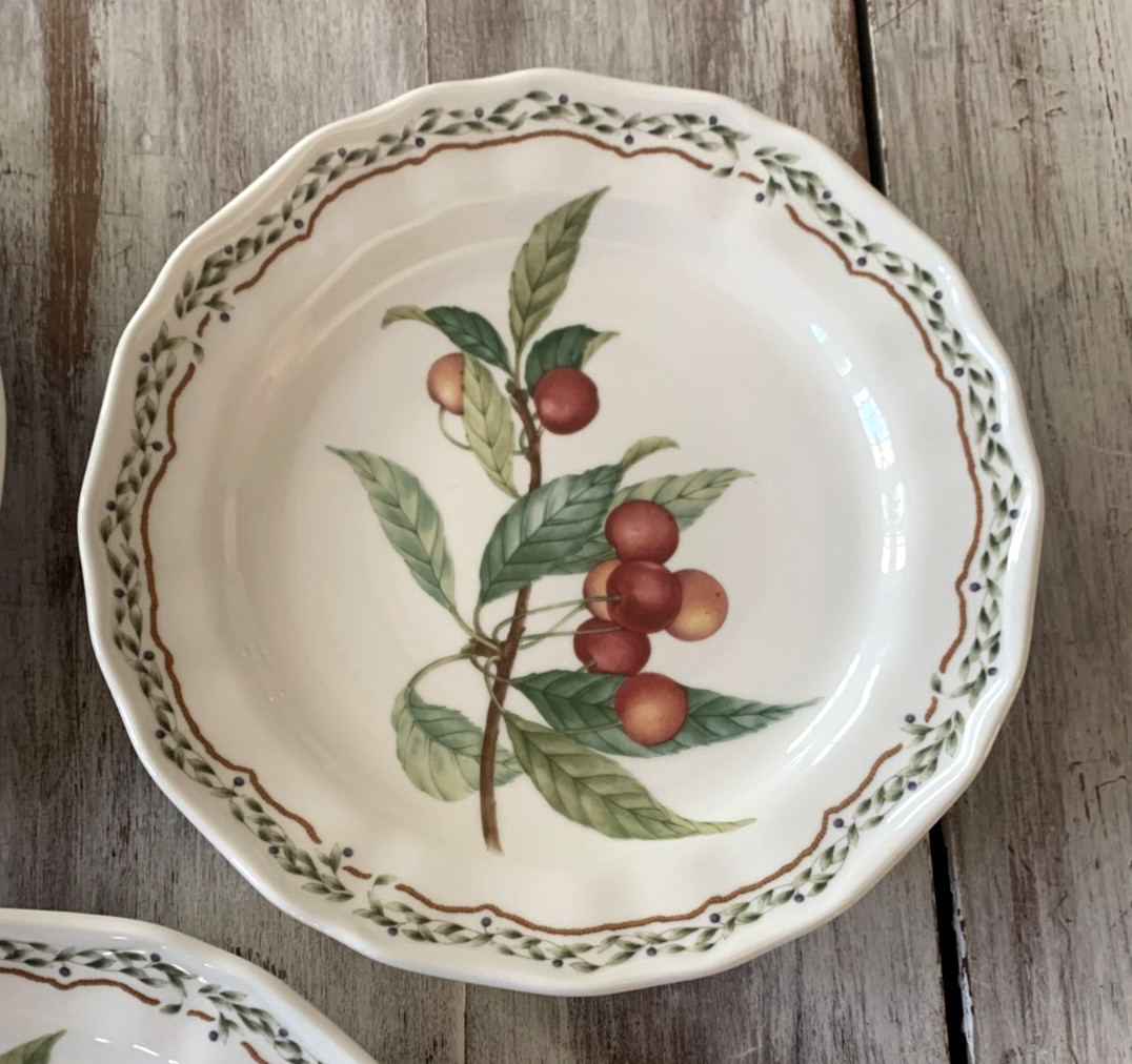 Noritake Casual Gourmet HARVEST Salad Dessert Plates Fruit 8.25″ Laurel Set 5
