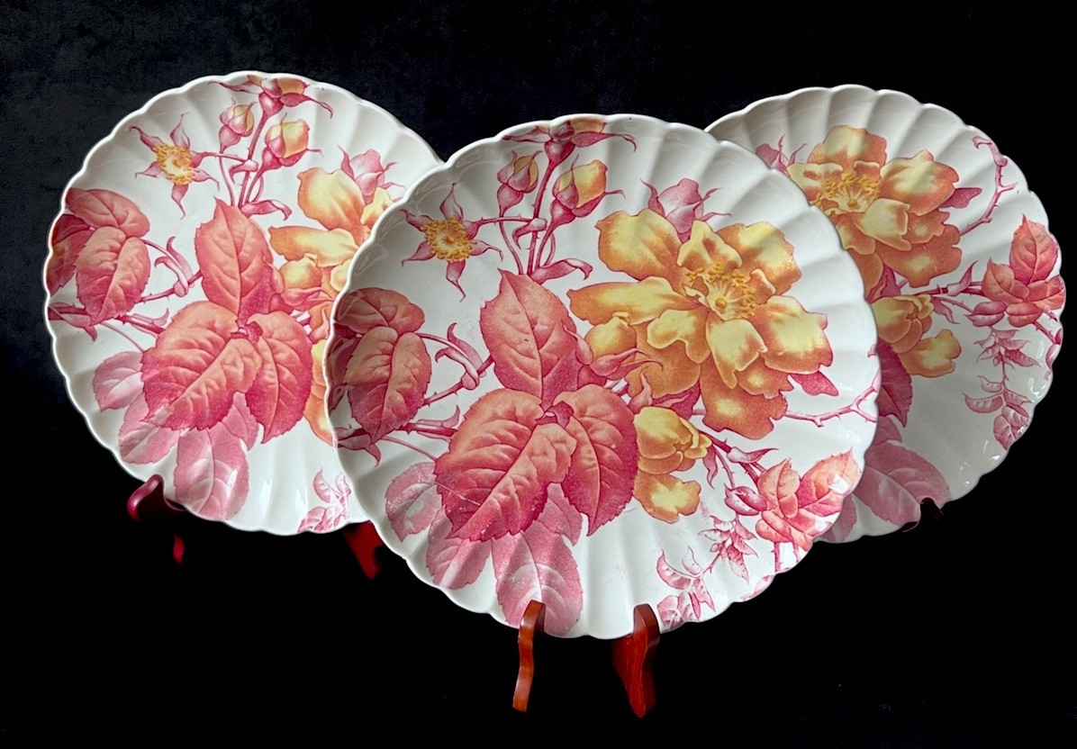TC. Brown Westhead Moore And Company Scalloped Edge Botanical C.1880