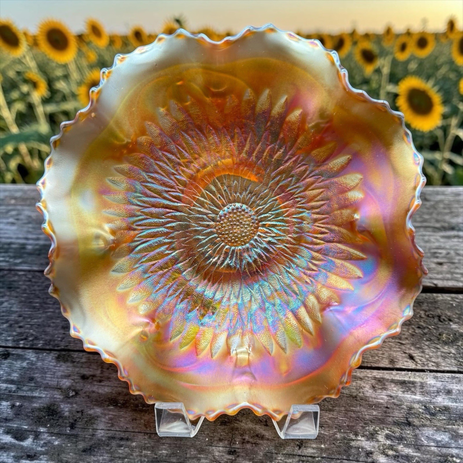 Northwood Pumpkin Marigold Sunflower Spatula Ftd Carnival Glass Master Bowl 9”