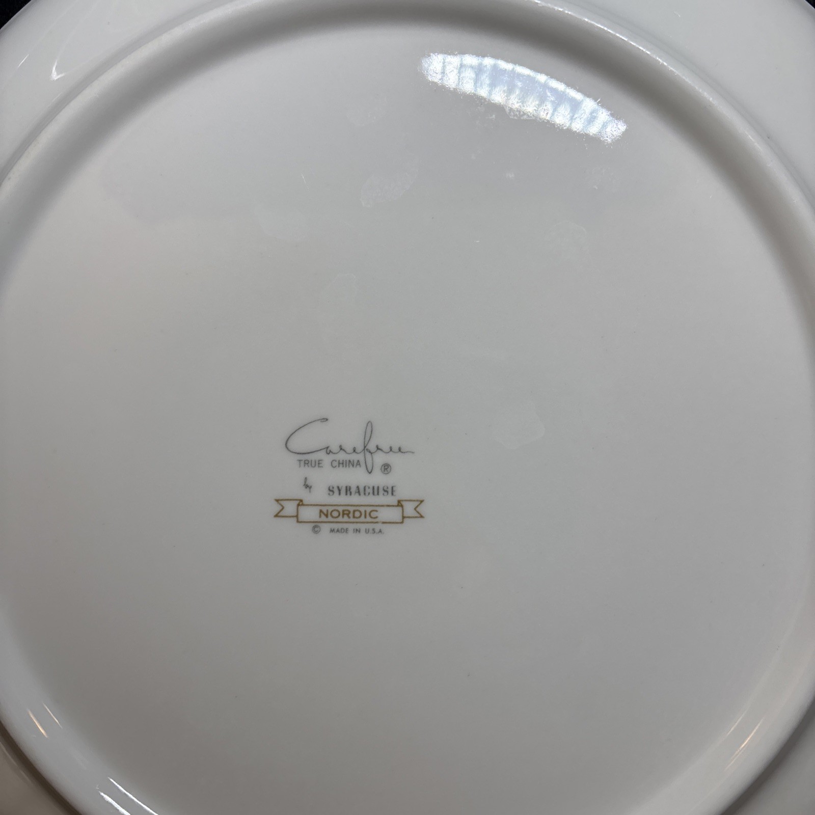 Vintage Syracuse China Carefree Nordic 10” Salad Plates Set of 6 USA