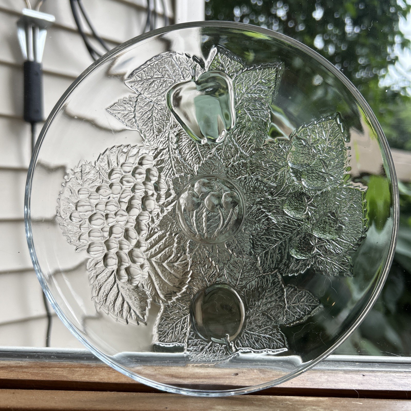 Pasabahce Embossed Fruit And Leaves Plates, Set Of 6