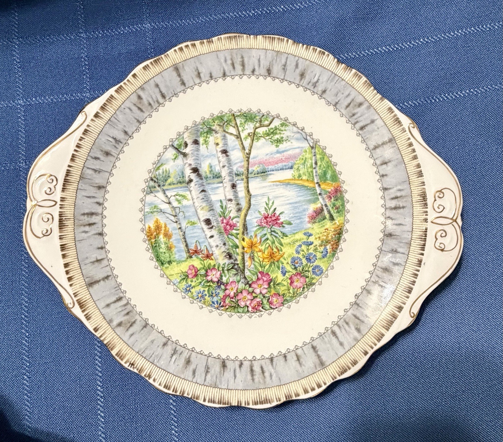 Royal Albert Silver Birch Cake Set for 6 Handled Plate C&S Cups & Saucers Plates