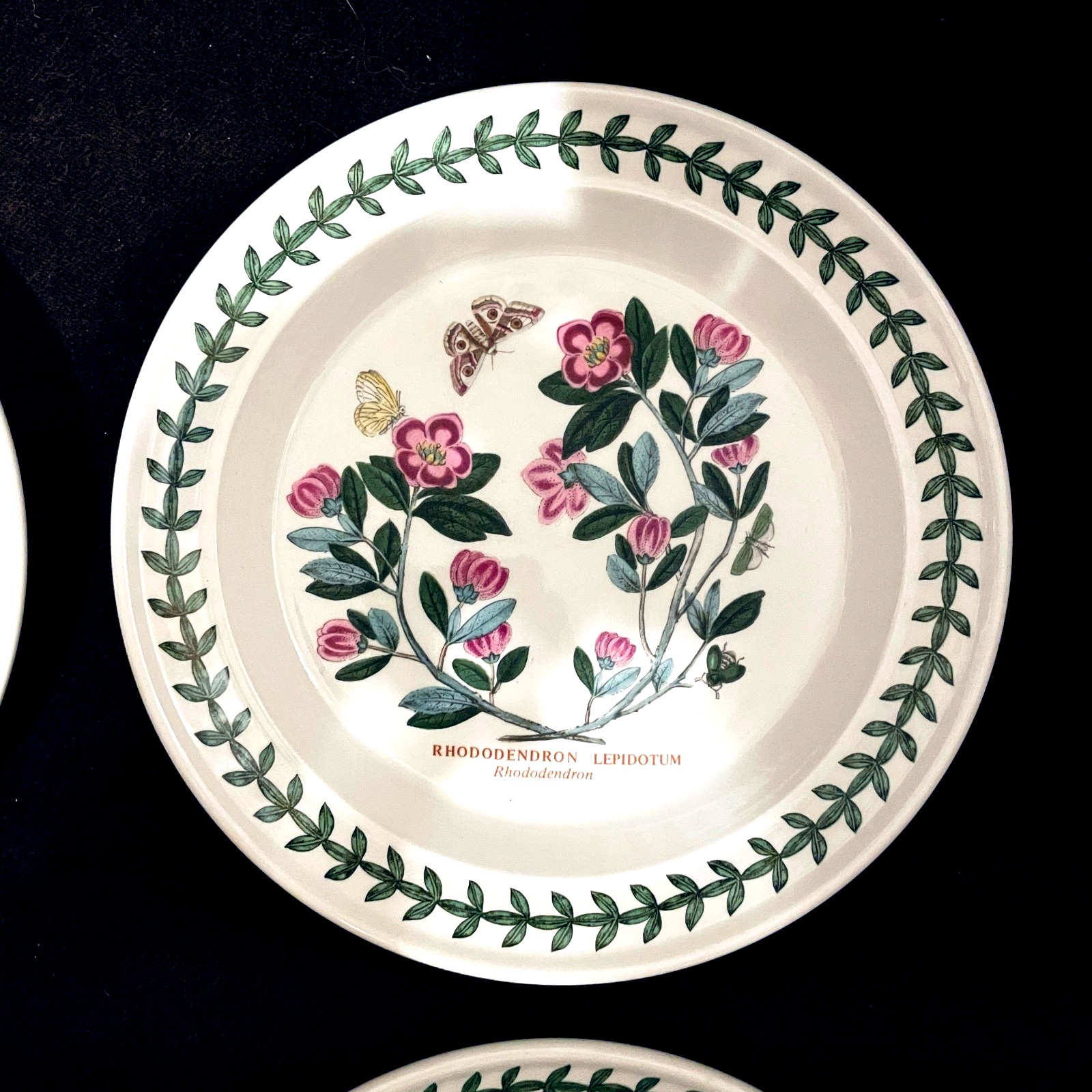 4 Botanic Garden by Portmeirion Bread / Dessert Plates – 7 1/4″ Mint Condition