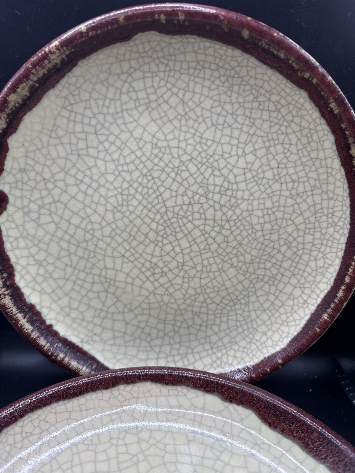 Pier 1 Crackle Collection Dinner Plate 9-1/4 Inches Set of 4 New Unique Plates