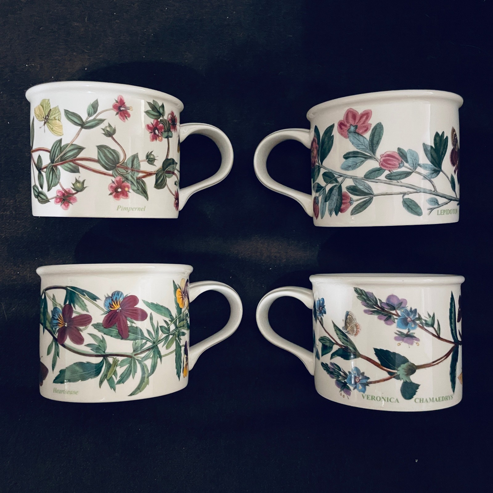 Portmeirion Botanic Garden Set of 4 tea coffee cups, Drum Bottoms – England