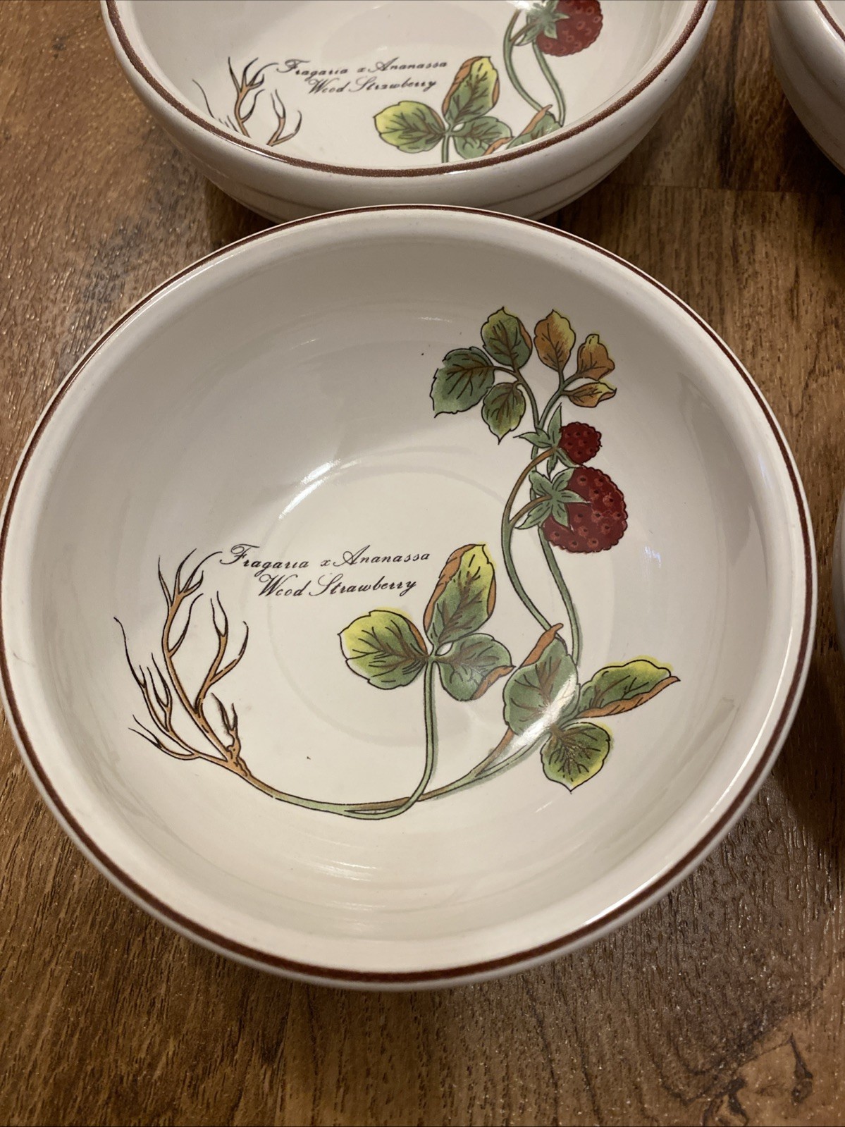 Jepcor International Botanical Garden Set O 4 Dessert/Berry Bowls Made In Korea